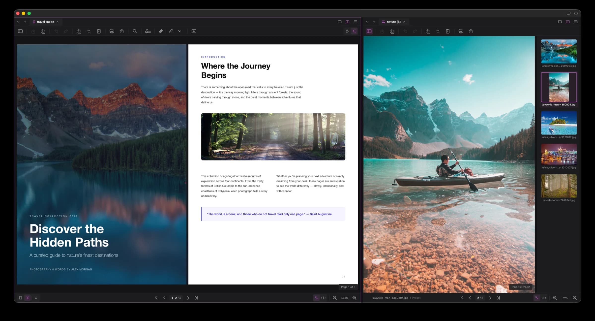 Artefact — Split View with PDF and Image side by side